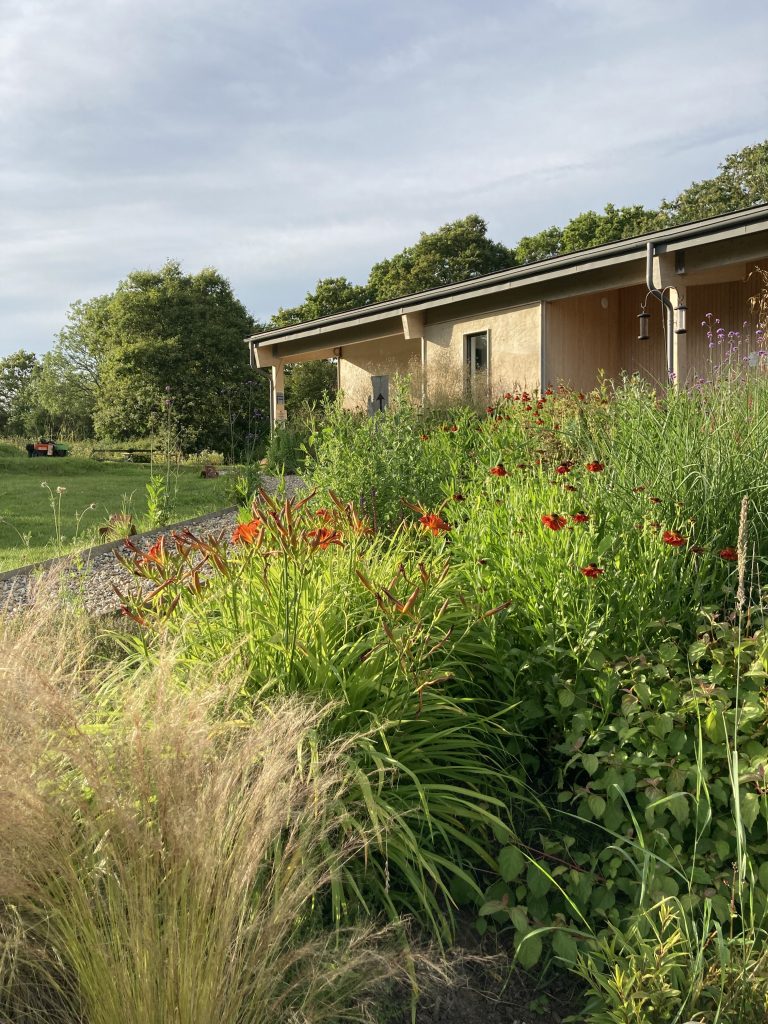 Red flowers in the gardens at Spithurst Hub
