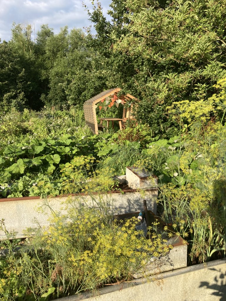 Vegetables and flowers in the gardens at Spithurst Hub