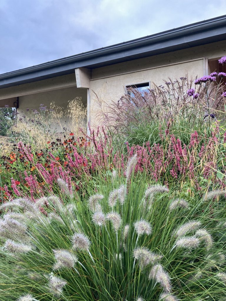 Mixed flowers in the gardens at Spithurst Hub