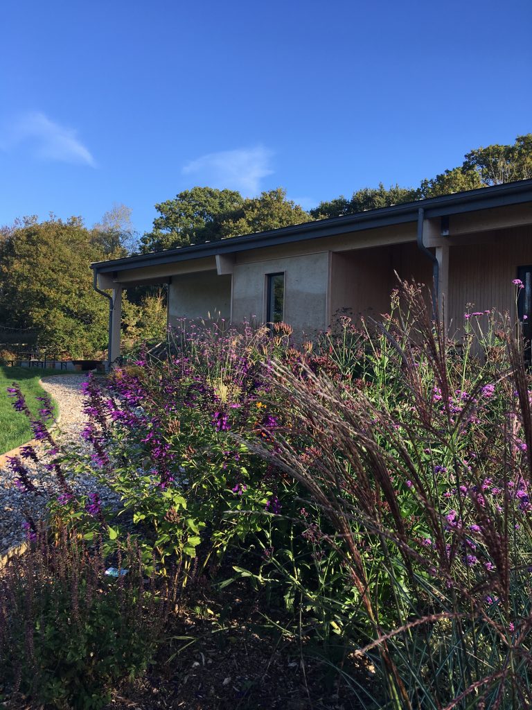Purple flowers in the gardens at Spithurst Hub