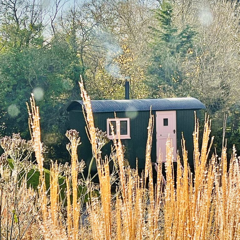 Wildish healing's shepherd's hut at Spithurst Hub