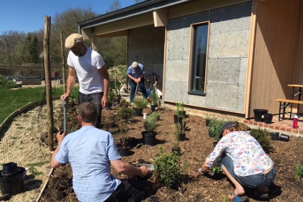 Planting the new gardens for the Spithurst Hub
